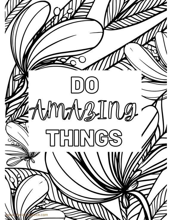 Calm Coloring for Adults Coloring Book Relaxation and Stress