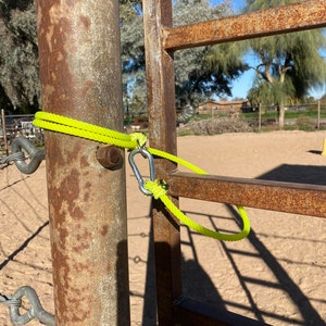 May include: A rusty metal gate with a yellow rope tied around it. The rope is secured with a metal carabiner.