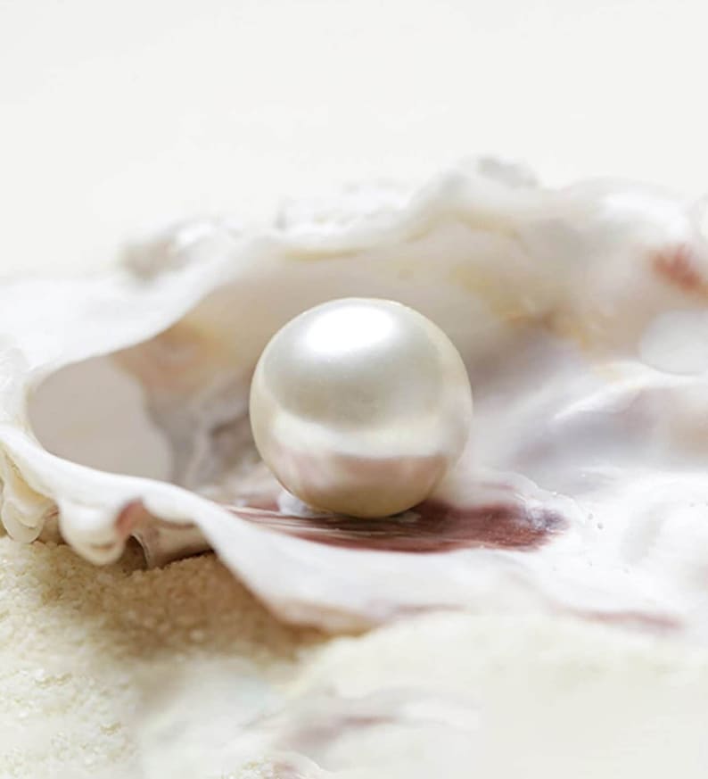 Authentic Freshwater Pearl Necklace Kit With Live Oysters Experience