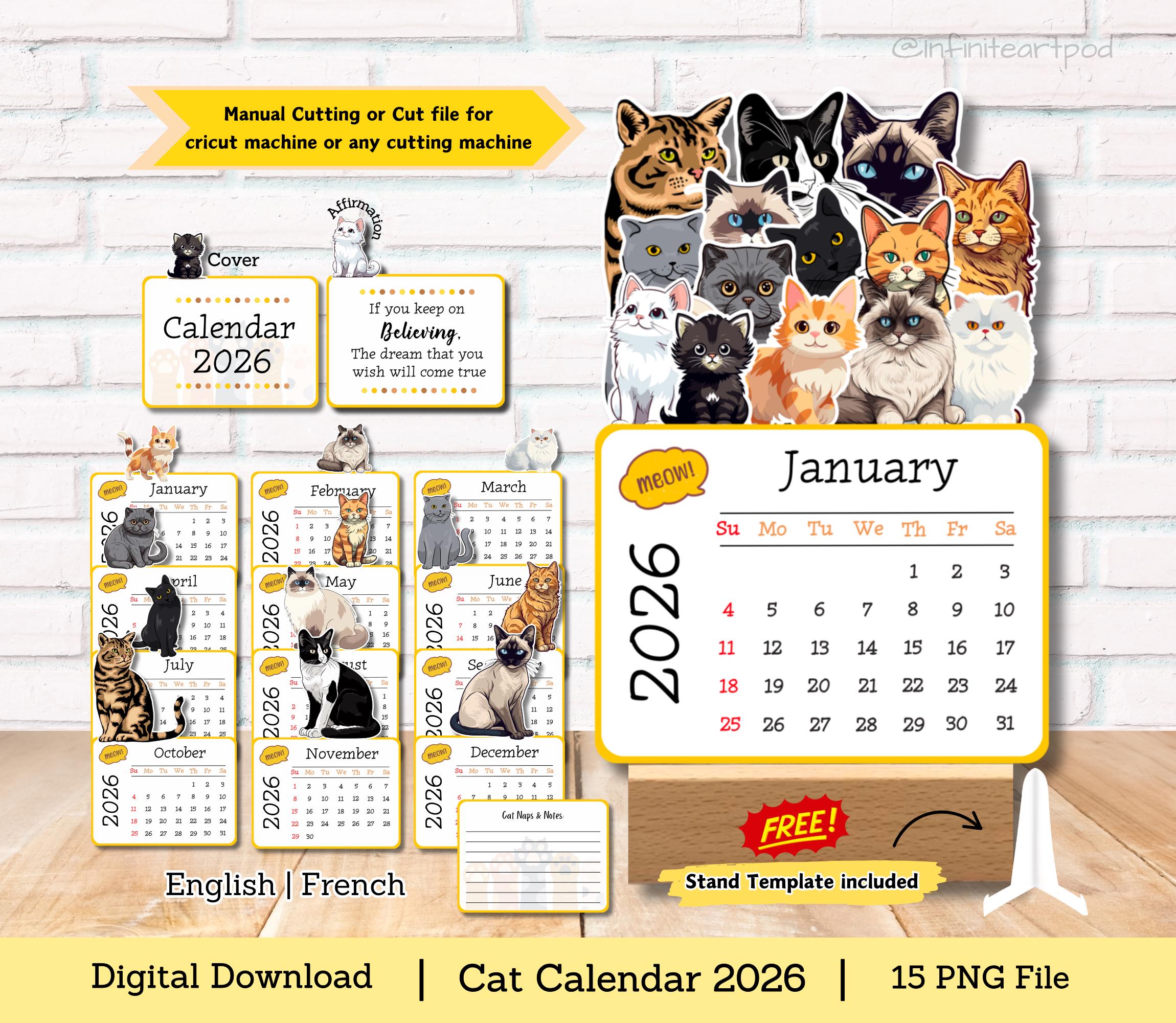 Yoga Kittens Kalender 2026 Kopen? met foto's van de Yoga Cats