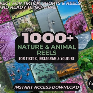 1000+ Nature & Animal Reels | Aesthetic Stock Footage Viral Clips | TikTok Instagram Reels Facebook Youtube Shorts | Easy To Edit Videos
