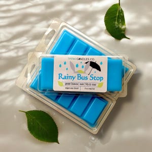 Rainy Bus Stop Snap Bar | Anime Inspired Snap Bar | Hand Poured Vegan Wax Blend Snap Bar | Strong Scented Snap Bar | 2 oz Snap Bar