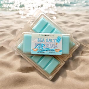 Sea Salt Ice Cream Snap Bar | Kingdom Hearts Inspired Snap Bar | Hand Poured Vegan Wax Blend Snap Bar | 2 oz Snap Bar