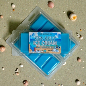 Sea Salt Ice Cream Snap Bar | Kingdom Hearts Inspired Snap Bar | Hand Poured Vegan Wax Blend Snap Bar | 2 oz Snap Bar