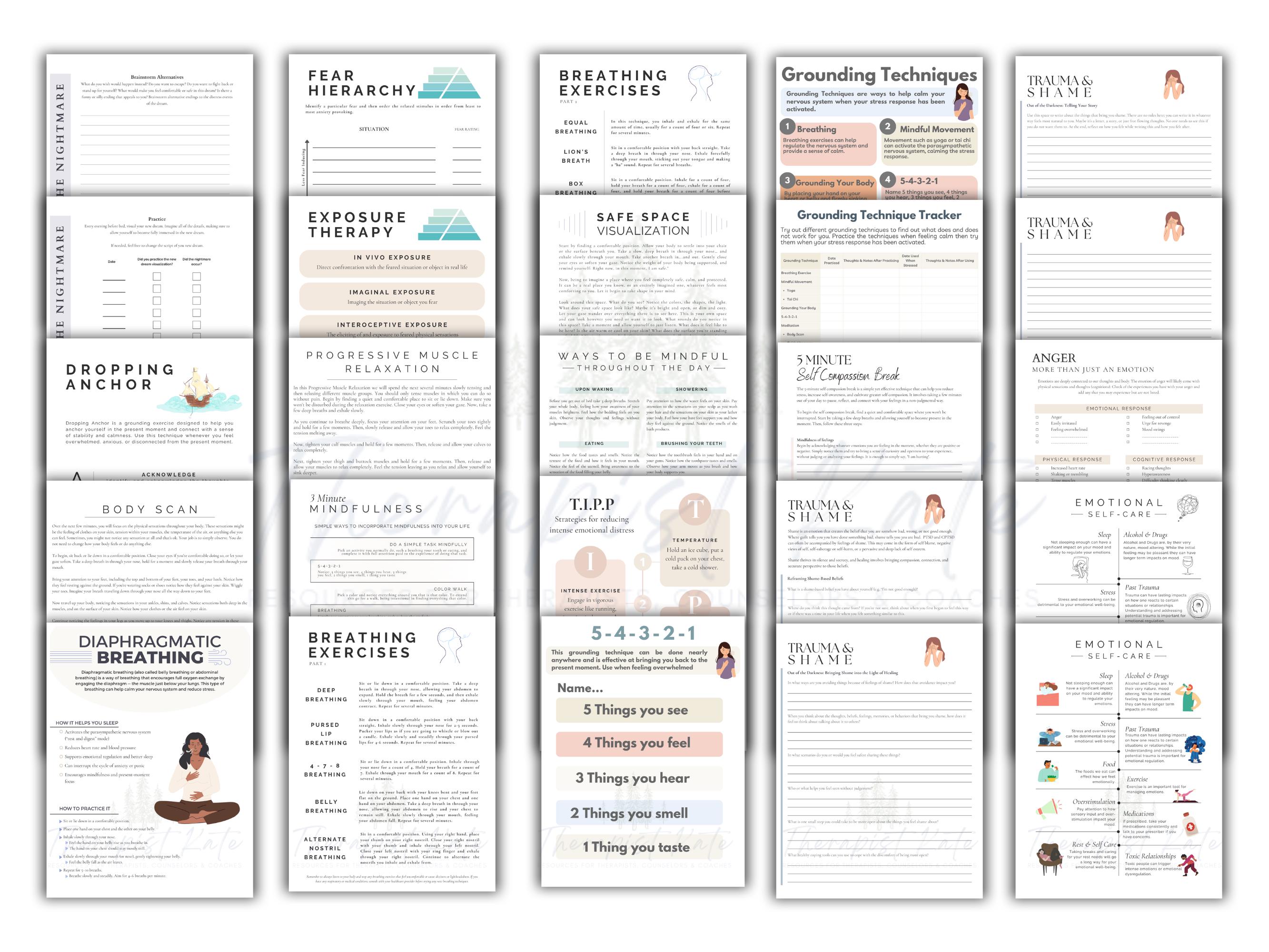 Trauma Informed Therapy Worksheets | 120+ Resources (digital Download ...