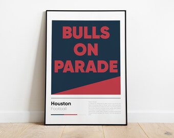HUSTON TEXANS poster, Nfl Iconic Printed Poster Collection, Wall Art