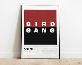 ARIZONA CARDINALS poster, Nfl Iconic Printed Poster Collection, Wall Art