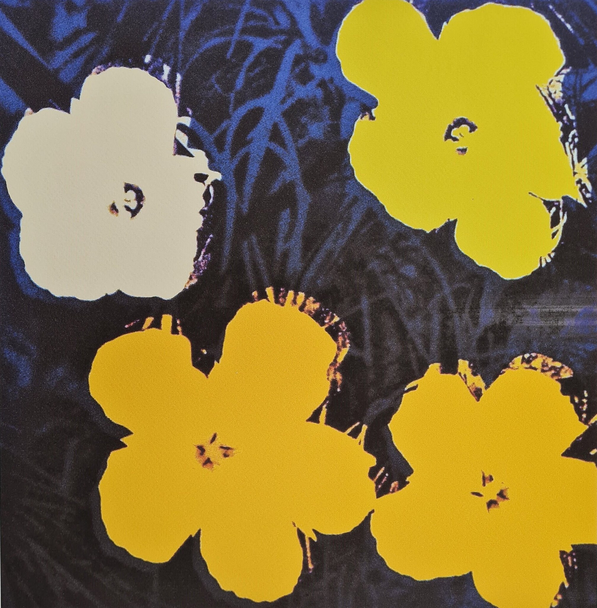 ANDY WARHOL ＊花＊50cm×35cm＊サイン入りリトグラフ＊限定#24