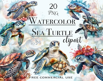 Watercolor sea turtle PNG bundle, Floral sea turtle clipart, Sea turtles png, Cute animal clipart, Sea animal cute clipart, Sea life clipart