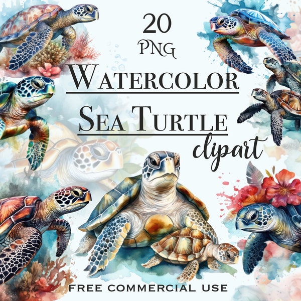 Watercolor sea turtle PNG bundle, Floral sea turtle clipart, Sea turtles png, Cute animal clipart, Sea animal cute clipart, Sea life clipart