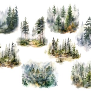 Peut inclure: Huit illustrations &agrave; l'aquarelle de for&ecirc;ts de pins brumeuses. Chaque illustration pr&eacute;sente une perspective diff&eacute;rente de la for&ecirc;t, avec des nuances de vert et de bleu.