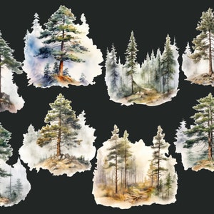 Peut inclure: Illustrations &agrave; l'aquarelle de pins dans un d&eacute;cor forestier. Les arbres sont peints dans des tons de vert, de brun et de bleu, avec un fond brumeux. Les illustrations sont parfaites pour ajouter une touche de nature &agrave; tout projet.