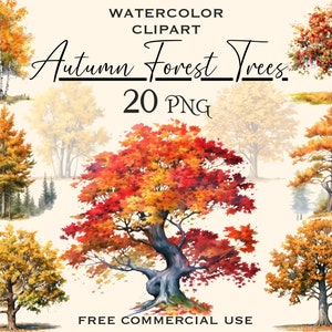 Fall forest trees clipart, Autumn woods png images bundle, Transparent background colorful tree digital artwork, Free commercial use