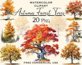 May include: A set of 20 watercolor illustrations of autumn forest trees. The trees are in various shades of red, orange, yellow, and green. The illustrations are perfect for adding a touch of fall to your designs.