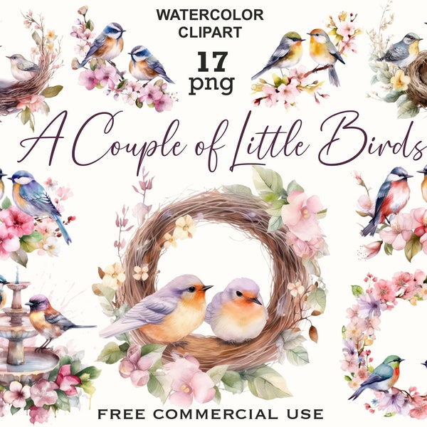 Little bird clipart, Watercolor birds png, Bird clip art, Flower clipart, Bird cute clipart, Birds nest clipart, Couple clipart, Bird lover