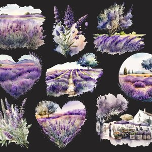 Puede incluir: Ilustraciones de acuarela de campos de lavanda en varias formas y tama&ntilde;os. Las ilustraciones presentan flores de lavanda moradas, &aacute;rboles verdes y cielos azules. Algunas ilustraciones incluyen una forma de coraz&oacute;n, un c&iacute;rculo y un cuadrado.
