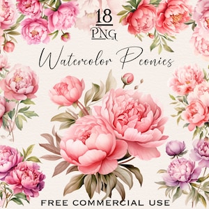 Pacote PNG de peônia rosa, clipart de peônias em aquarela, pintura de peônia png, clipart de flores em aquarela, arte floral digital, peônias rosa png