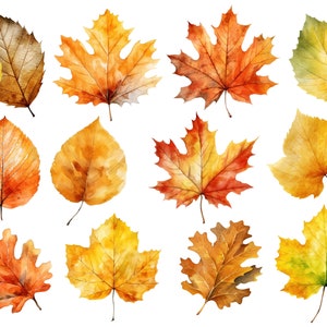 May include: A collection of 12 watercolor painted autumn leaves in various shades of yellow, orange, red, and green. The leaves are isolated on a white background.