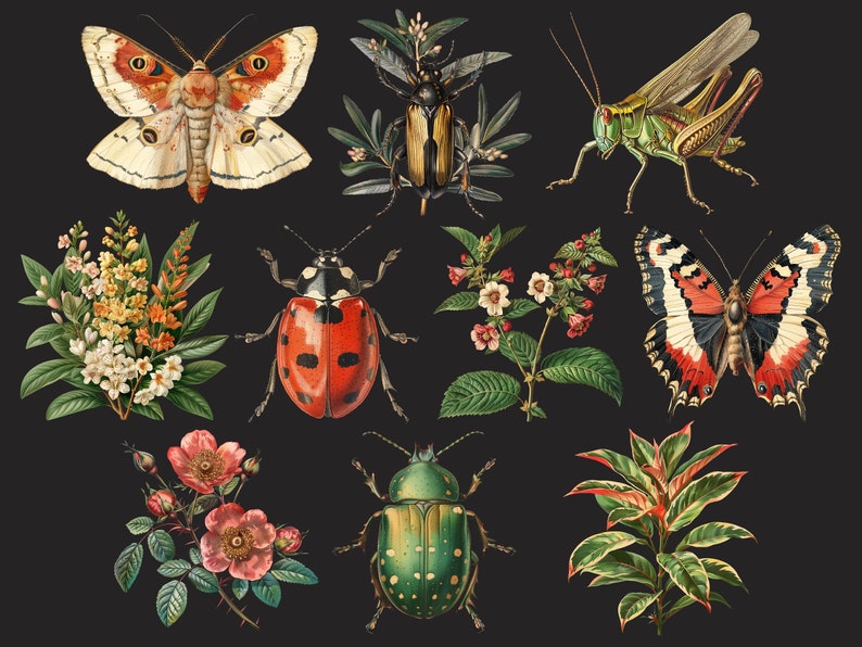 Pu&ograve; includere: Una collezione di illustrazioni vintage che raffigurano diversi insetti e fiori. Le illustrazioni includono una coccinella rossa, uno scarabeo verde, un grillo verde, una farfalla con ali rosse e nere, una falena con ali bianche e arancioni e una variet&agrave; di fiori.