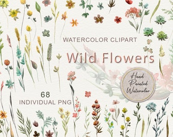 Imágenes prediseñadas de prado de flores silvestres en acuarela, flores prensadas PNG, elementos florales para invitaciones de boda