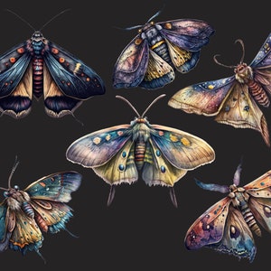 Celestial moth png, Luna moth art, Watercolor butterfly clipart, Butterfly png, Butterfly art, Watercolor clipart, Deathhead moth png image 5