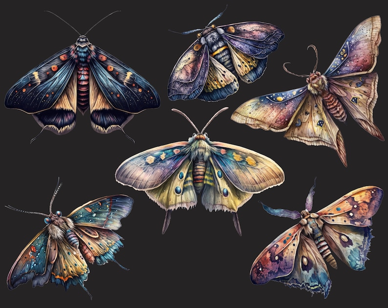 Celestial moth png, Luna moth art, Watercolor butterfly clipart, Butterfly png, Butterfly art, Watercolor clipart, Deathhead moth png image 5