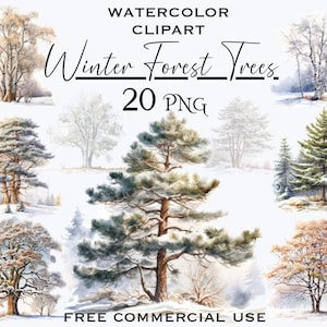 Clipart di alberi della foresta invernale, bundle di png di alberi innevati, png invernali ad acquerello, download digitali di sfondo trasparente, uso commerciale gratuito