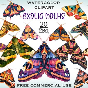 Exotische Motte PNG Bundle, Aquarell Schmetterling Clipart, himmlische Motte png, Luna Motte Kunst, Mottenaufkleber, Schmetterling png, Deathhead Motte png