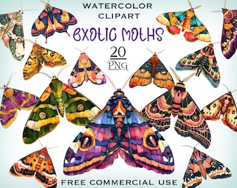 Exotic Moth PNG Bundle, Watercolor butterfly clipart, Celestial moth png, Luna moth art, Moth sticker, Butterfly png, Deathhead moth png