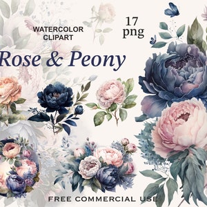 Blumenarrangements, Aquarell Pfingstrosen, Pfingstrose, Pfingstrose, Blaue Pfingstrose, Pinke Rose png, Pfingstrose Clipart, Blumenschmuck
