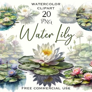Pacote PNG de lírios de água, pacote PNG de flores em aquarela, clipart de lírio de água, clipart de lótus branco, clipart de flor de lagoa, clipart de lago floral