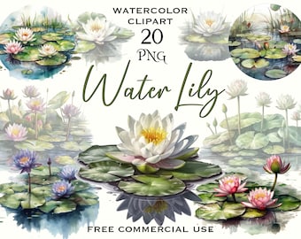 Water lilies PNG bundle, Watercolor flowers PNG bundle, Water lily clipart, White lotus clipart, Pond flower clipart, Floral lake clipart