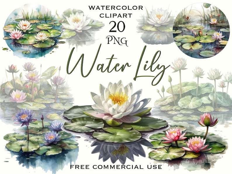 Pu&ograve; includere: Clipart ad acquerello di 20 ninfee in varie tonalit&agrave; di rosa, bianco e viola. Le ninfee galleggiano su uno stagno con foglie di ninfea verdi e acqua blu. Il testo "Water Lily" &egrave; scritto in corsivo verde.