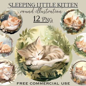 Lot de PNG chaton endormi, lot de png de chat aquarelle, bébés animaux png, aquarelle animaux png, faites de beaux rêves png, clipart amoureux des chats mignons