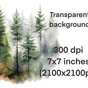 Peut inclure: Peinture &agrave; l'aquarelle d'une for&ecirc;t brumeuse avec de grands arbres verts. L'arri&egrave;re-plan est d'un gris clair et doux avec un effet aquarelle. L'image mesure 7x7 pouces et 300 dpi.