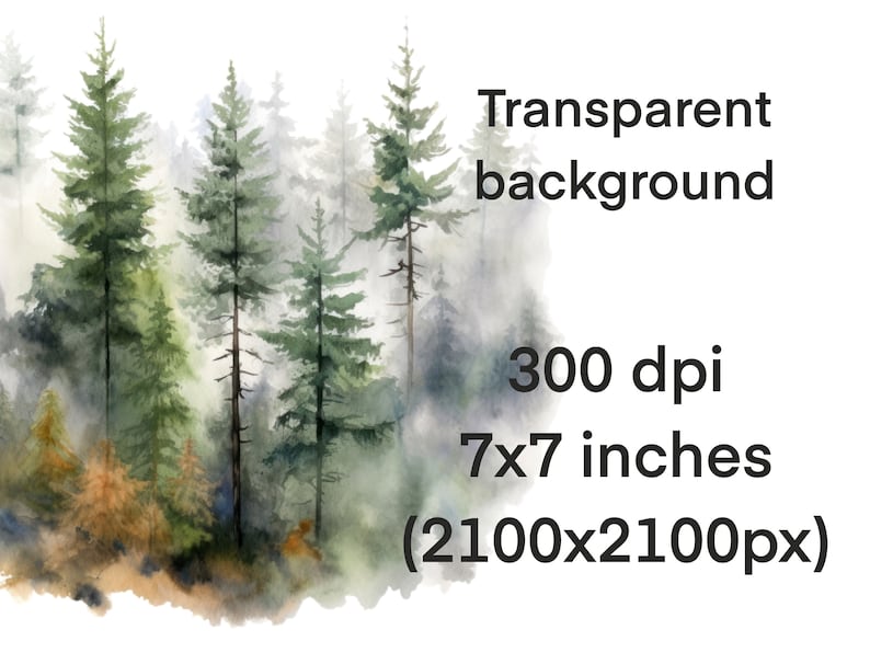 Peut inclure: Peinture &agrave; l'aquarelle d'une for&ecirc;t brumeuse avec de grands arbres verts. L'arri&egrave;re-plan est d'un gris clair et doux avec un effet aquarelle. L'image mesure 7x7 pouces et 300 dpi.