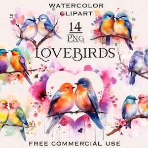 Clipart di uccelli innamorati, coppia di uccelli per San Valentino, uccelli ad acquerello png, clip art di uccelli, clipart di uccelli ad acquerello, clipart di coppia per San Valentino