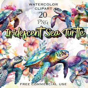 Iriserende zeeschildpad png, schattige clipart van zeedieren, aquarel onderwaterbeelden van het zeeleven, gratis commercieel gebruik voor ontwerp, afdrukken enz.