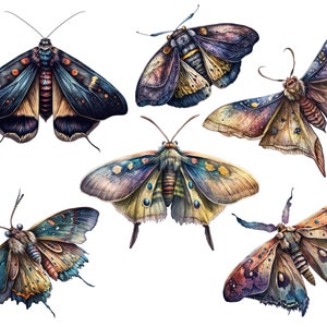 Celestial moth png, Luna moth art, Watercolor butterfly clipart, Butterfly png, Butterfly art, Watercolor clipart, Deathhead moth png image 4