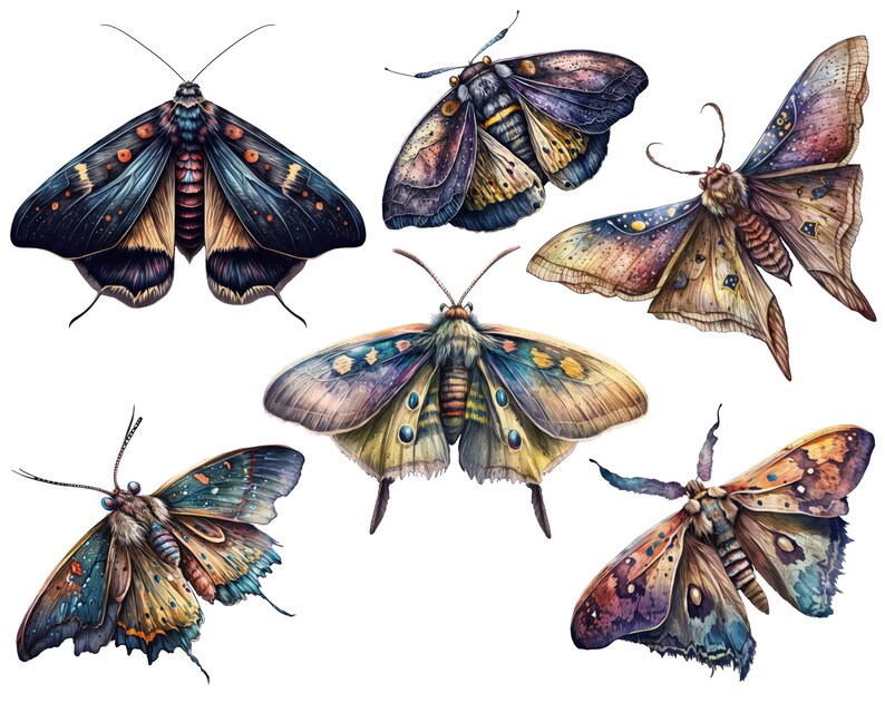 Celestial moth png, Luna moth art, Watercolor butterfly clipart, Butterfly png, Butterfly art, Watercolor clipart, Deathhead moth png image 4