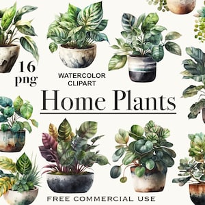 Clipart de plantes d'intérieur, plantes tropicales maison, plantes en pot png, art de plantes d'intérieur, clipart botanique, clipart verdure, clipart floral