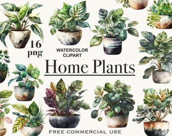 House plants clipart, Home tropical plants, Potted plants png, Indoor plants art, Botanical clipart, Greenery clipart, Floral clipart