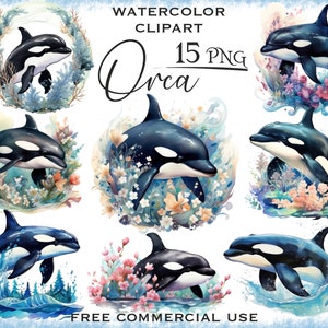 Aquarell Orca png bündel, Orca Wal Design mit Blumenmuster, niedliche Meerestier Clipart, Meer Leben Unterwasser Clipart, kostenlose kommerzielle Nutzung Orcas Kunst