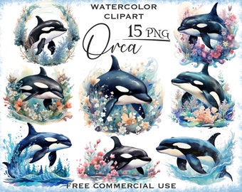 Watercolor orca png bundle, Floral orca whale design, Cute sea animal clipart, Sea life underwater clipart, Free commercial use orcas art