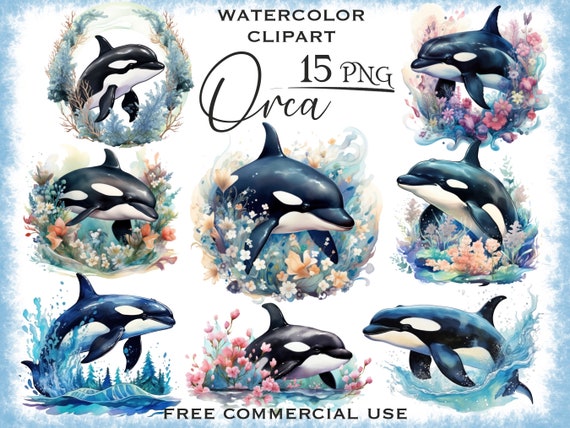 Watercolor orca png bundle, Floral orca whale design, Cute sea animal clipart, Sea life underwater clipart, Free commercial use orcas art