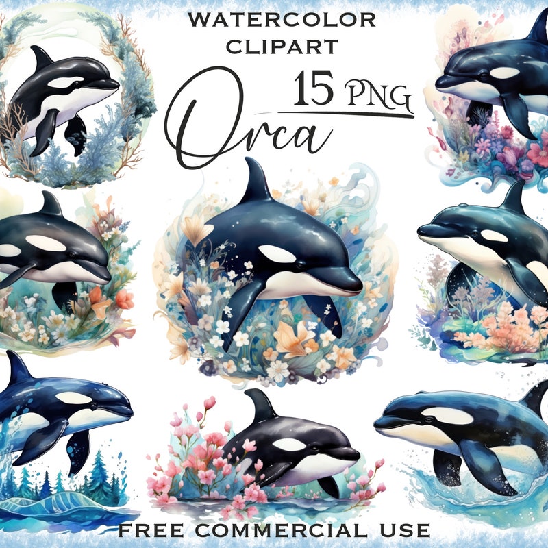 Paintings Orca - Etsy