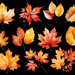 May include: A collection of watercolor painted autumn leaves in shades of red, orange, and yellow. The leaves are isolated on a black background.