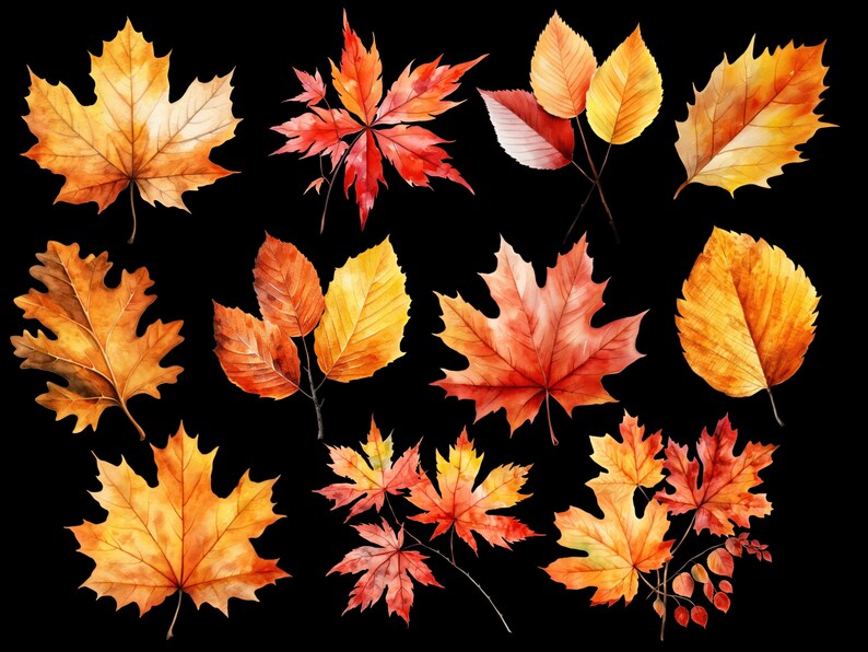 May include: A collection of watercolor painted autumn leaves in shades of red, orange, and yellow. The leaves are isolated on a black background.