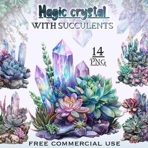 Bundle PNG succulentes en cristal, clipart botanique Wichcraft, clipart fée florale, clipart succulentes irisées, téléchargements numériques imprimables