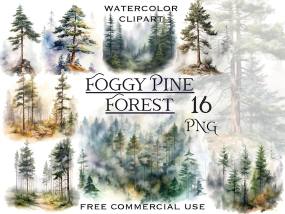 Foggy pine forest clipart, Watercolor woods png images bundle, Misty landscape art, Summer scenery digital artwork, Free commercial use